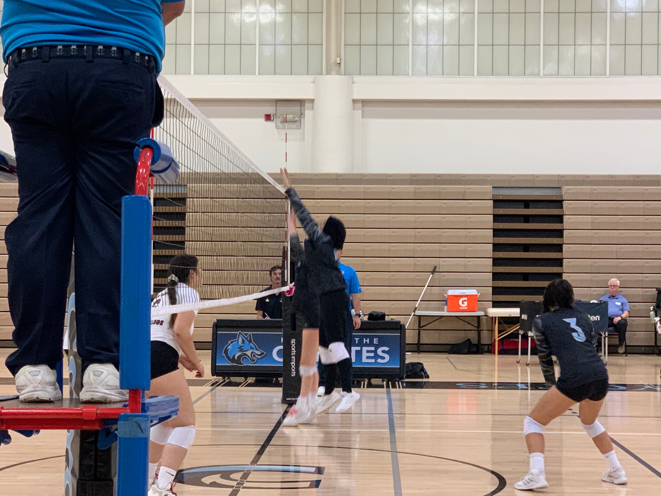 Sophomore Spotlight: Manar Diab