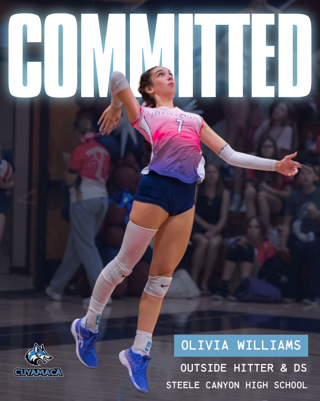 Steele Canyon High Volleyball Ace Olivia Williams Commits to Cuyamaca